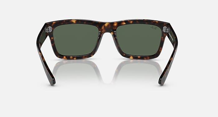 Ray Ban 4396 Warren Havana
