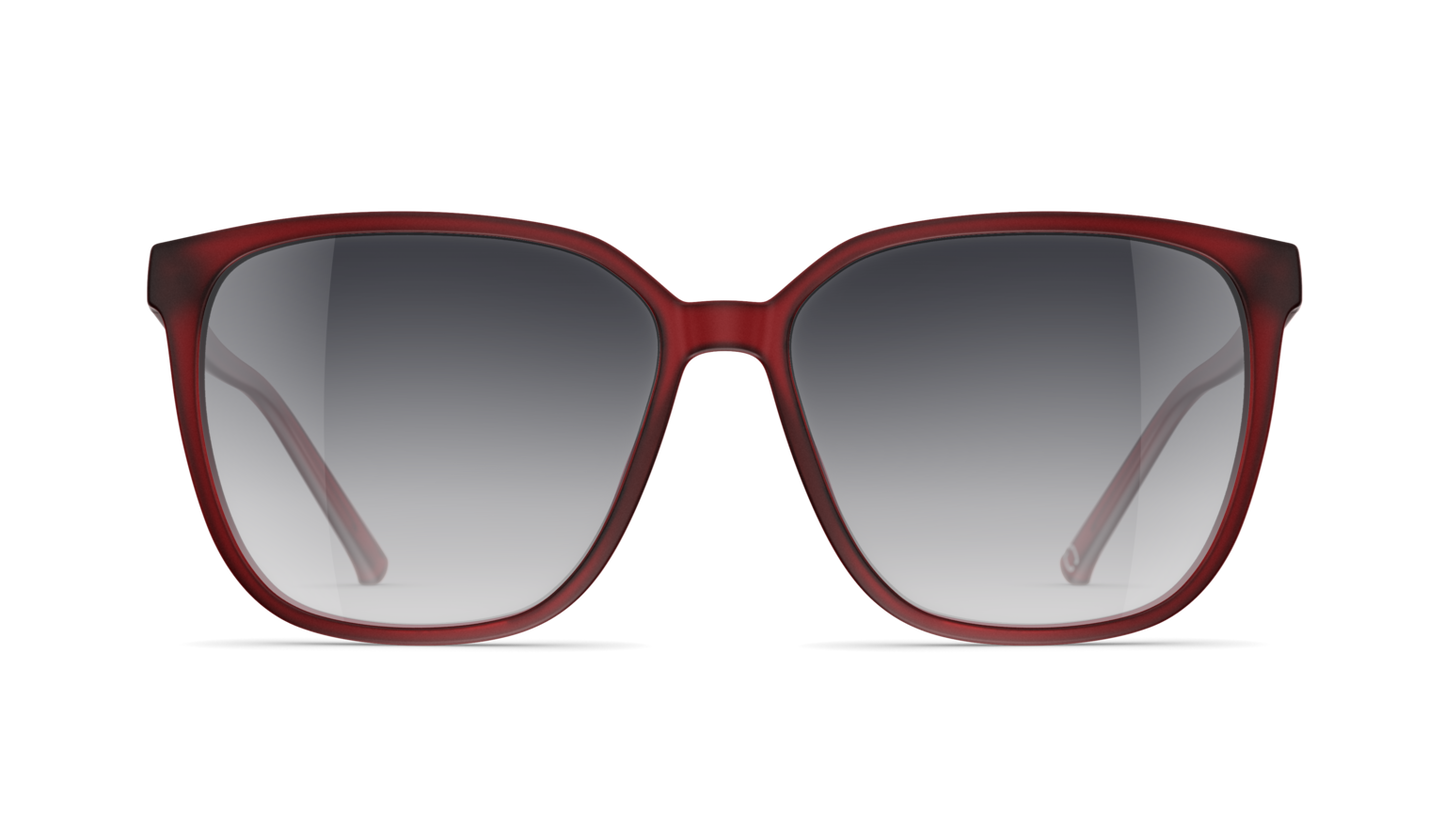 Neubau Sonnenbrille Judit T675 3100