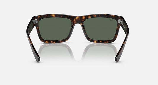 Ray Ban 4396 Warren Havana