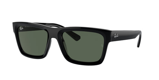 Ray Ban 4396 Warren 667771