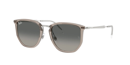 Ray Ban 4451 grau