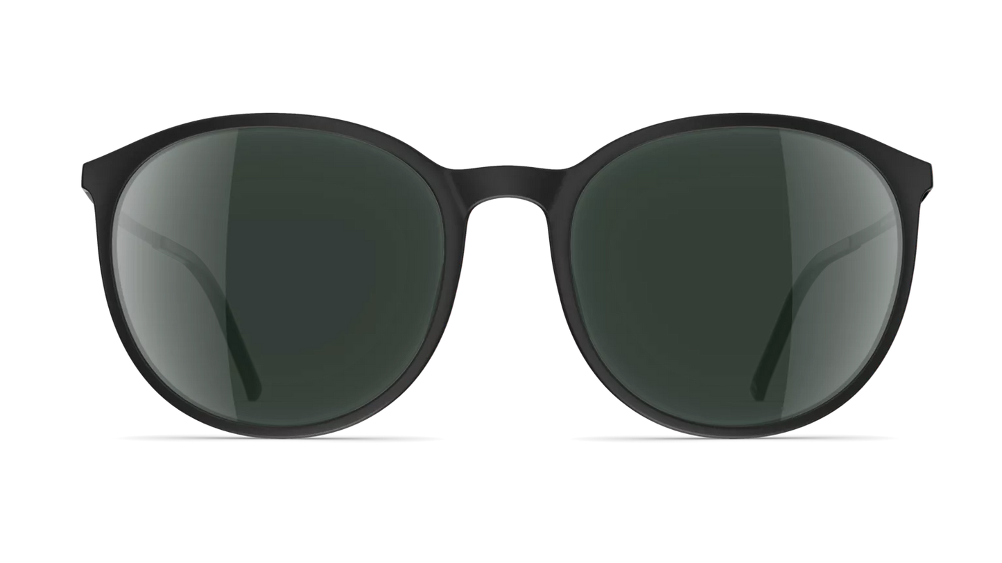 Neubau Sonnenbrille Anika T681 Black