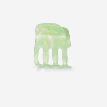 Sasstie Paw Mint