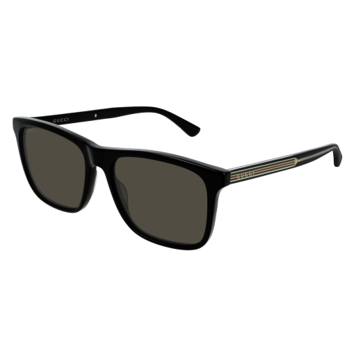 Gucci GG0381S 007