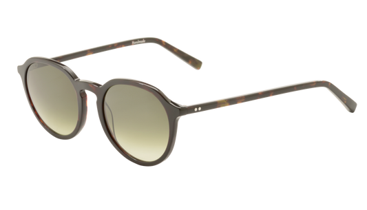 Hingucker Arthur 502 Tortoise Dark