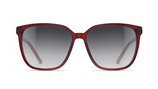 Neubau Sonnenbrille Judit T675 3100