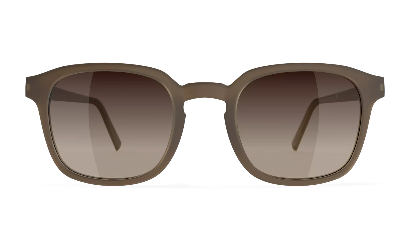 Neubau Sonnenbrille Adam T650 5560 brown