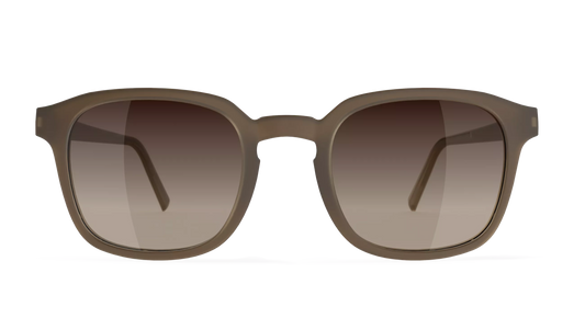 Neubau Sonnenbrille Adam T650 5560 brown