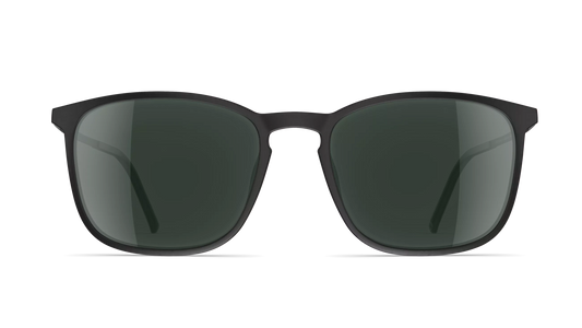 Neubau Sonnenbrille Finn T674 9240